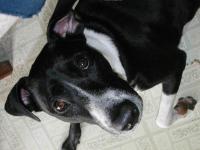 My boy, sitting at my feet.